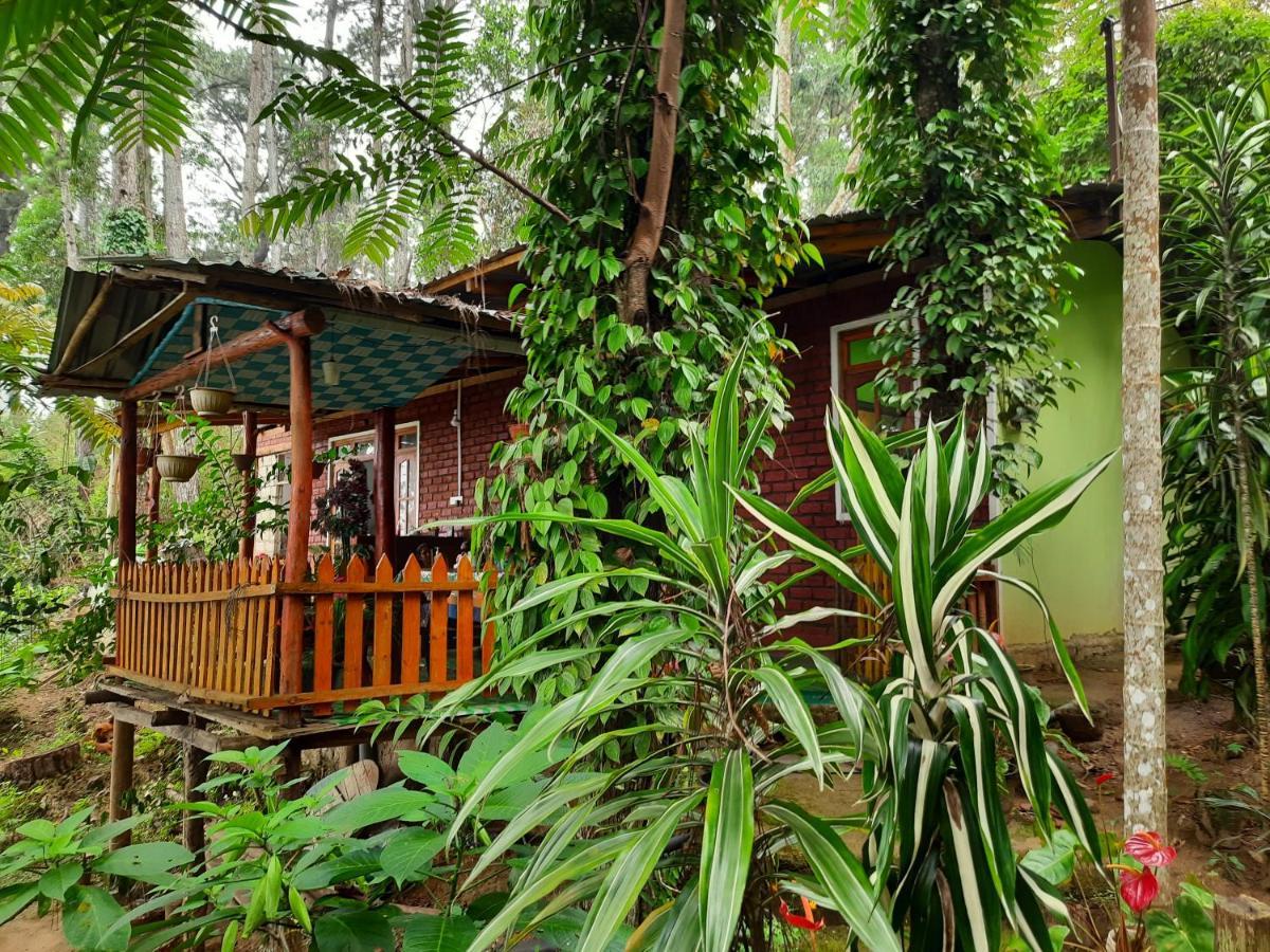 Green Heaven Lodge Ella Exterior photo